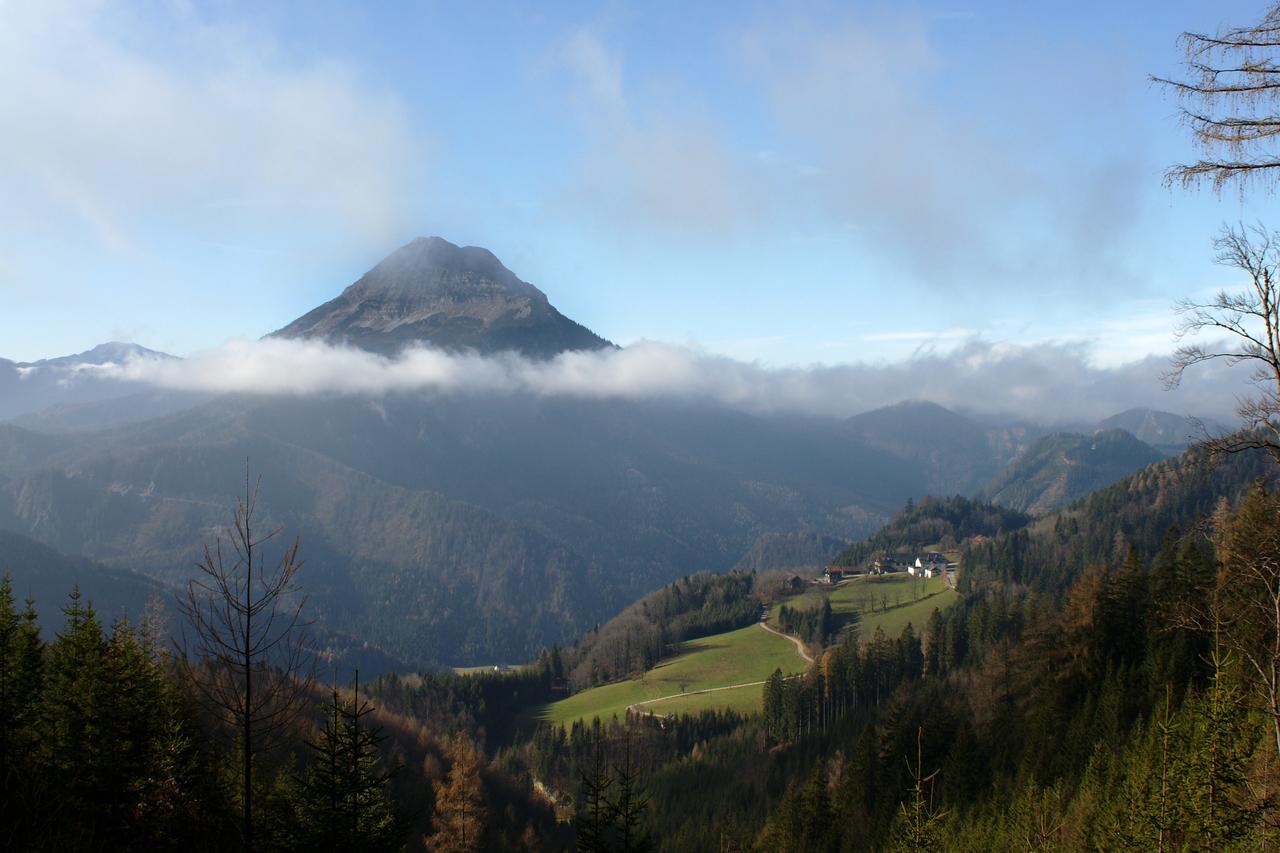 Alpenhotel Goesing Puchenstuben 외부 사진