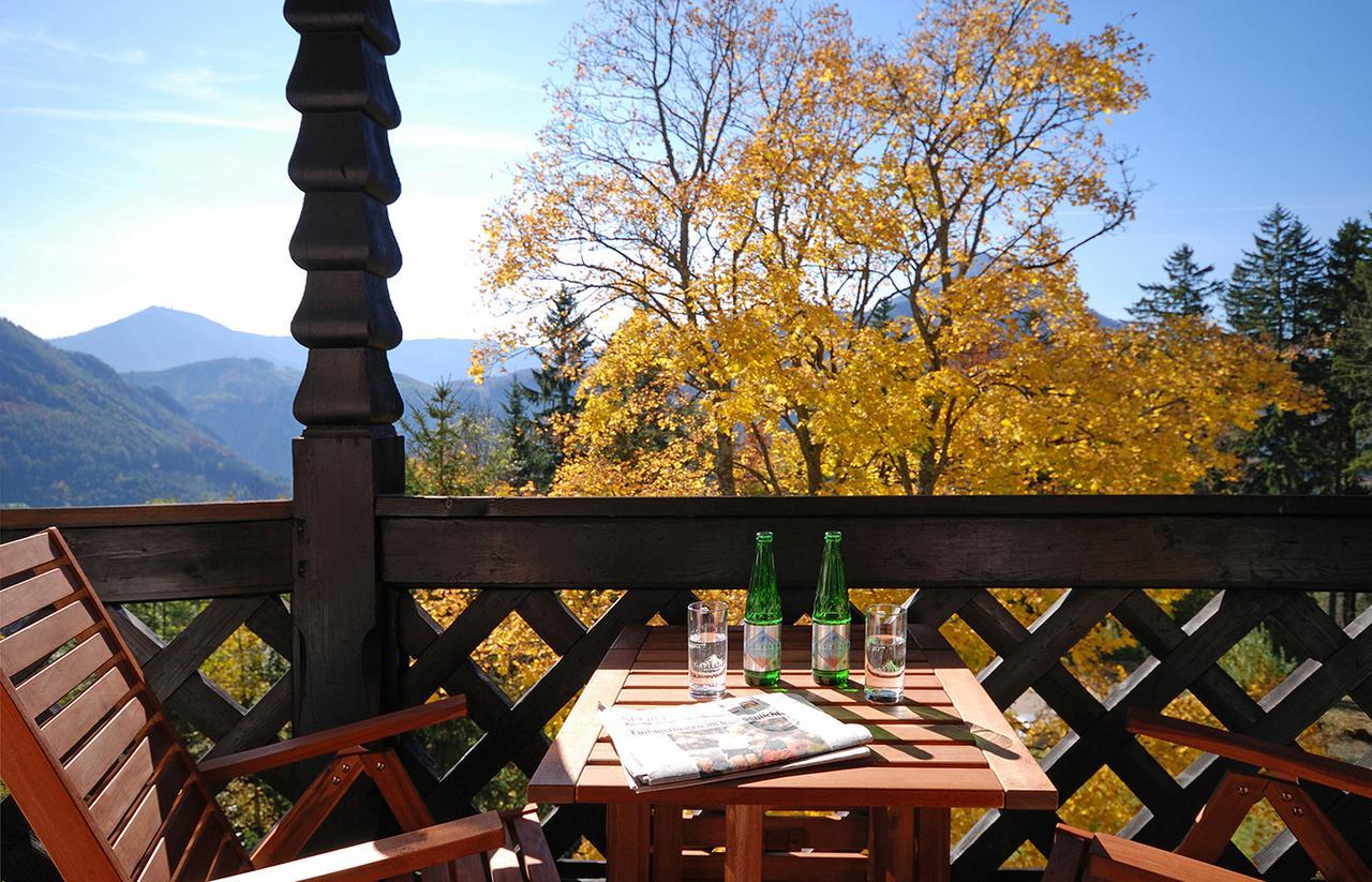 Alpenhotel Goesing Puchenstuben 외부 사진