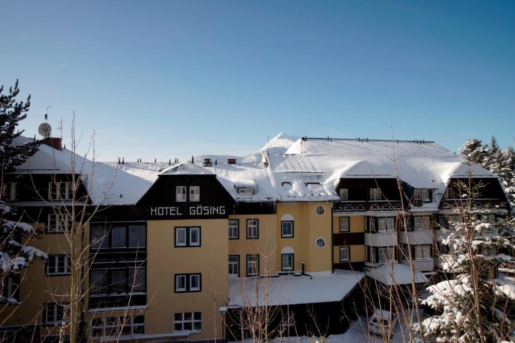 Alpenhotel Goesing Puchenstuben 외부 사진